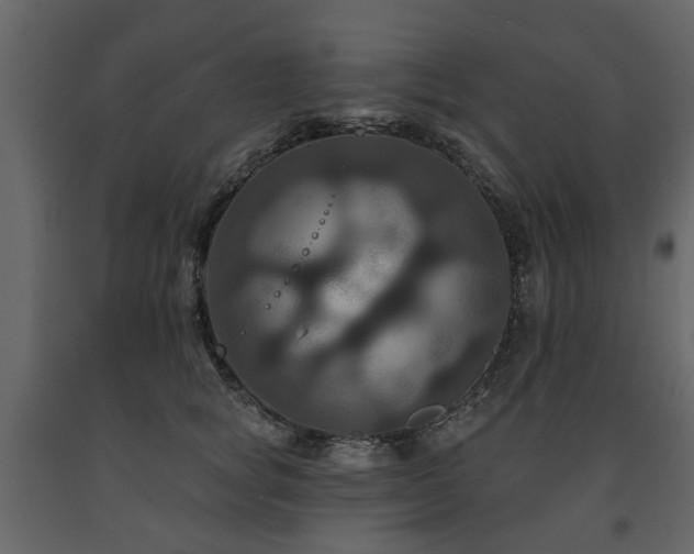 X0000091640757200708231158