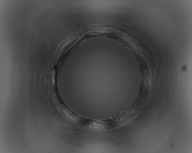 X0000091640758200708231158