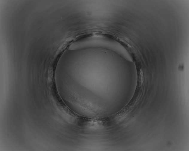 X0000091640760200708231158
