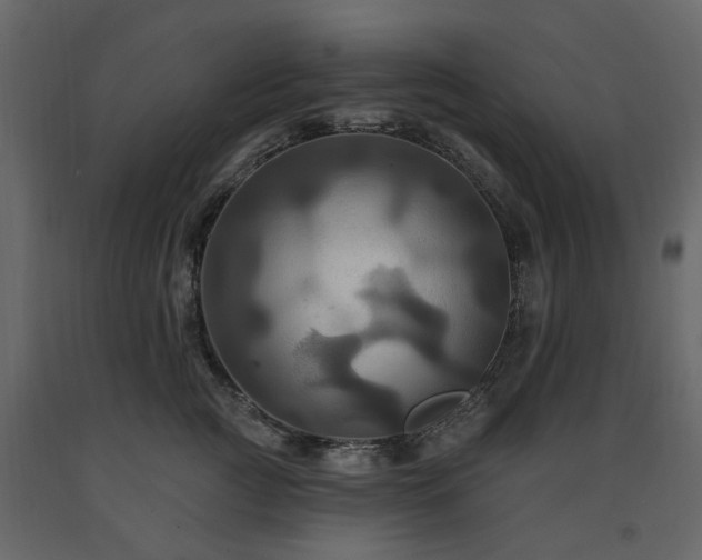 X0000091640761200708231158