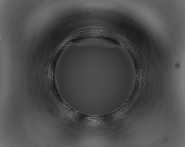 X0000091640763200708231158