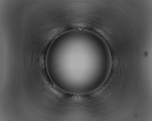 X0000091640764200708231158