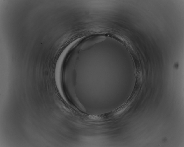 X0000091640766200708231158