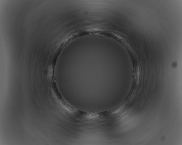 X0000091640767200708231158
