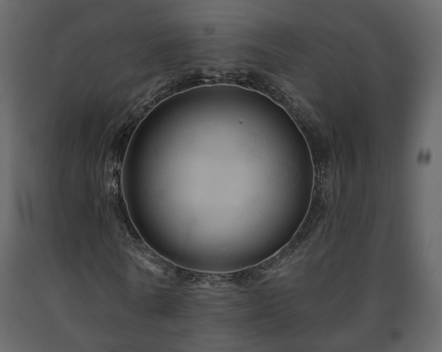 X0000091640770200708231157