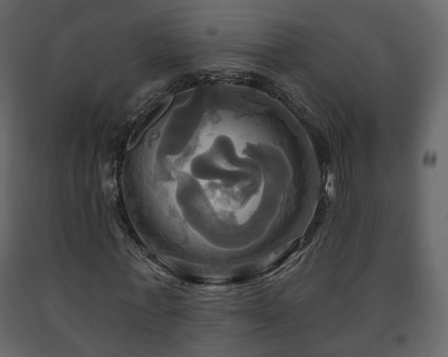 X0000091640771200708231157