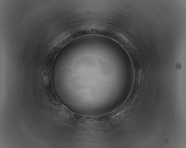 X0000091640774200708231157