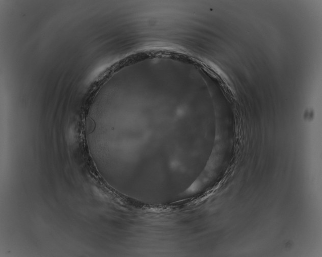 X0000091640775200708231157
