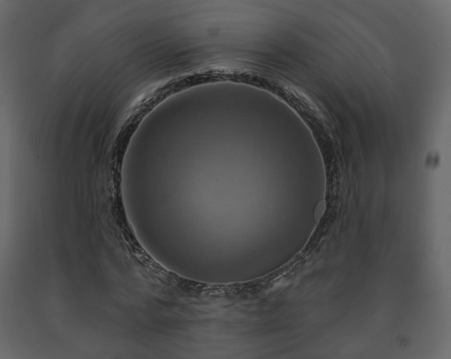 X0000091640776200708231157