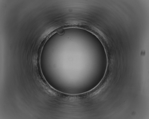 X0000091640778200708231157