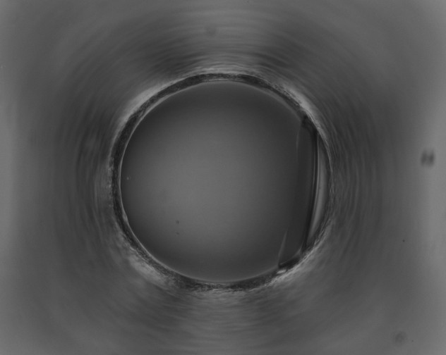 X0000091640779200708231157