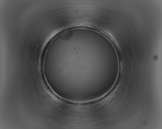X0000091640780200708231157