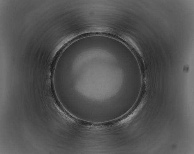 X0000091640781200708231157