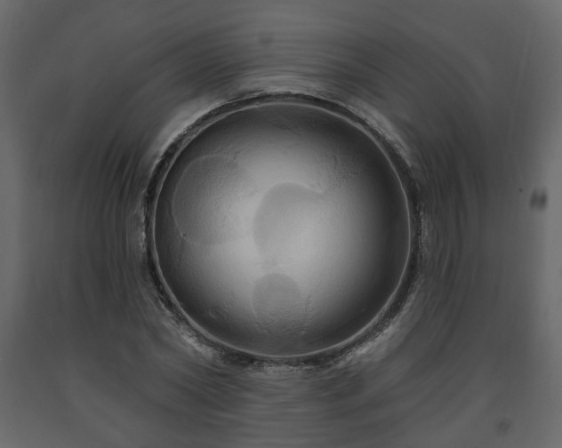 X0000091640782200708231157
