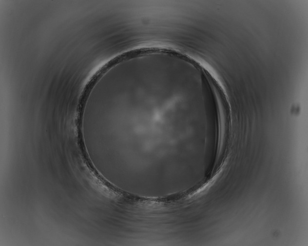 X0000091640783200708231157