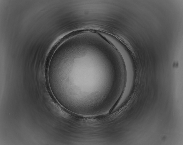 X0000091640784200708231157