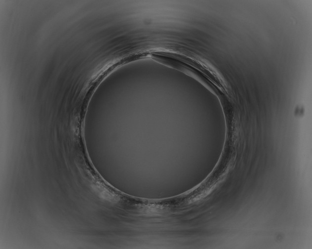 X0000091640785200708231157