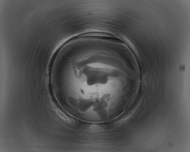 X0000091640787200708231157