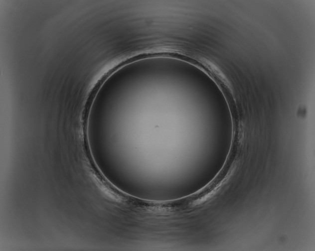 X0000091640789200708231157