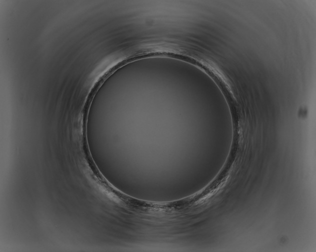 X0000091640790200708231157