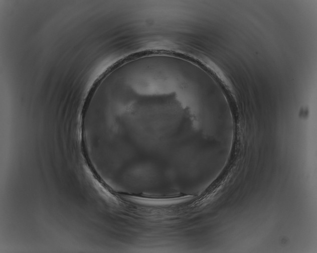 X0000091640791200708231157