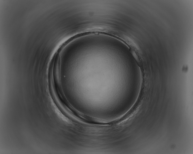 X0000091640792200708231157
