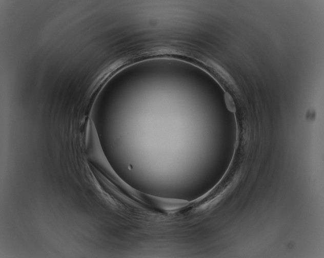 X0000091640793200708231157