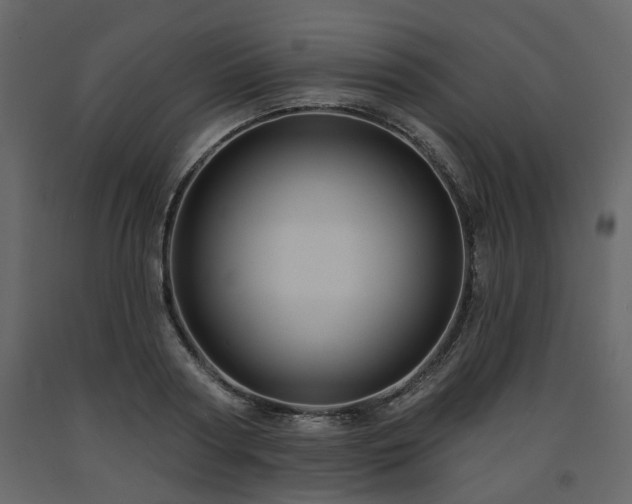 X0000091640794200708231157