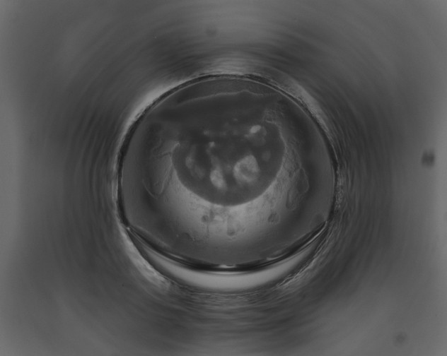 X0000091640795200708231157