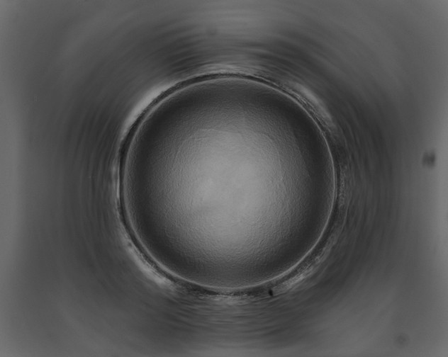 X0000091640796200708231157