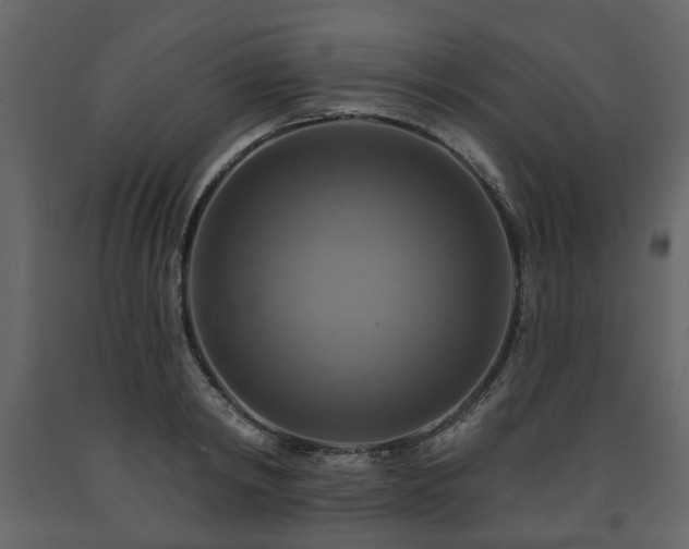 X0000091640798200708231157