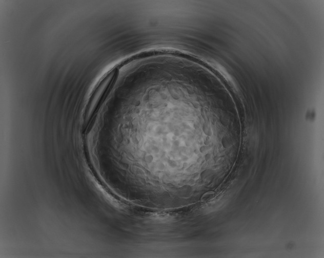 X0000091640799200708231157