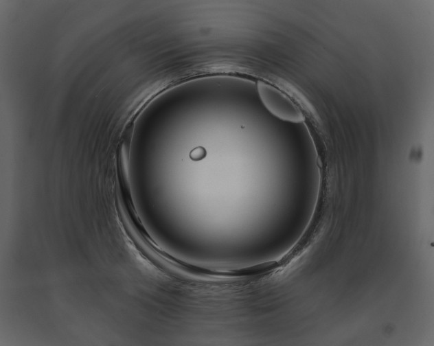 X0000091640801200708231157
