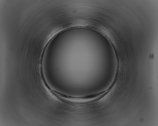 X0000091640802200708231157