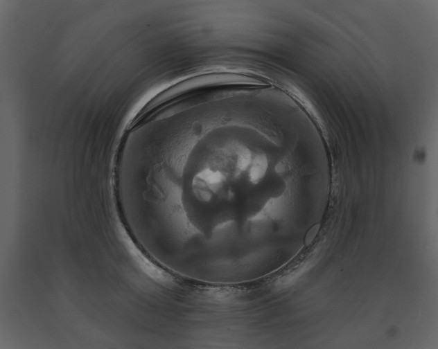 X0000091640803200708231157