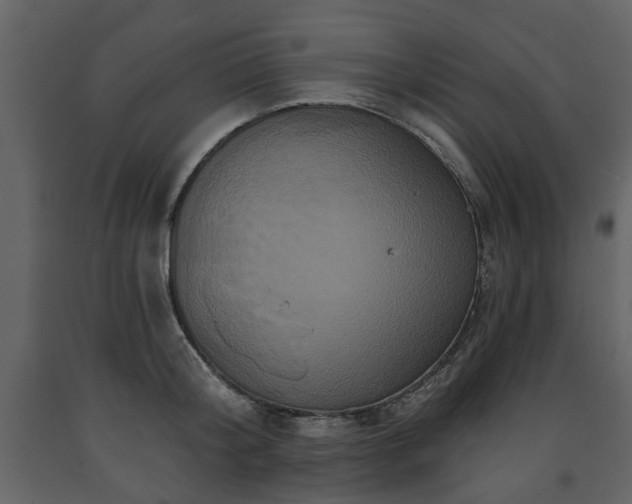 X0000091640804200708231157
