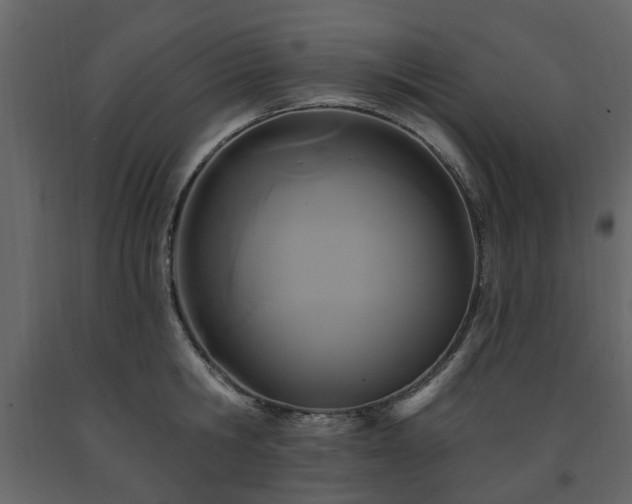 X0000091640806200708231157