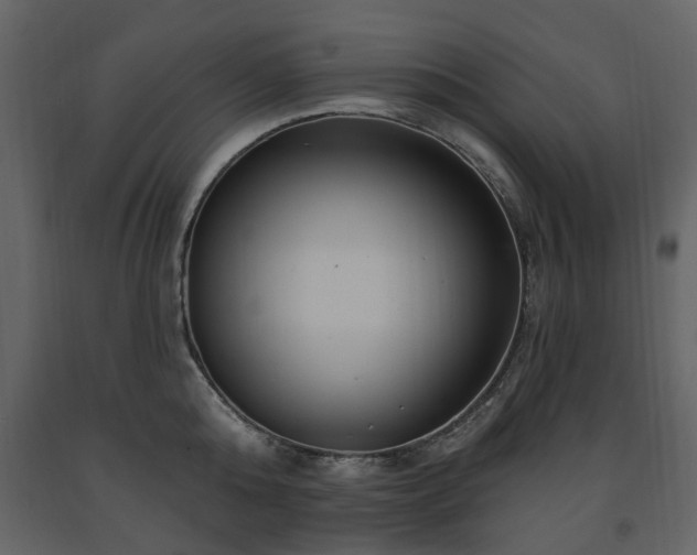 X0000091640808200708231157