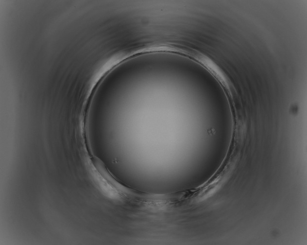 X0000091640813200708231157