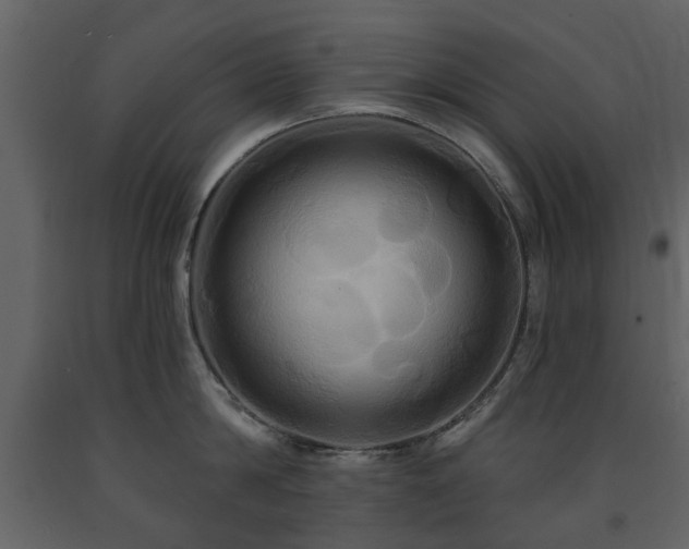 X0000091640814200708231157
