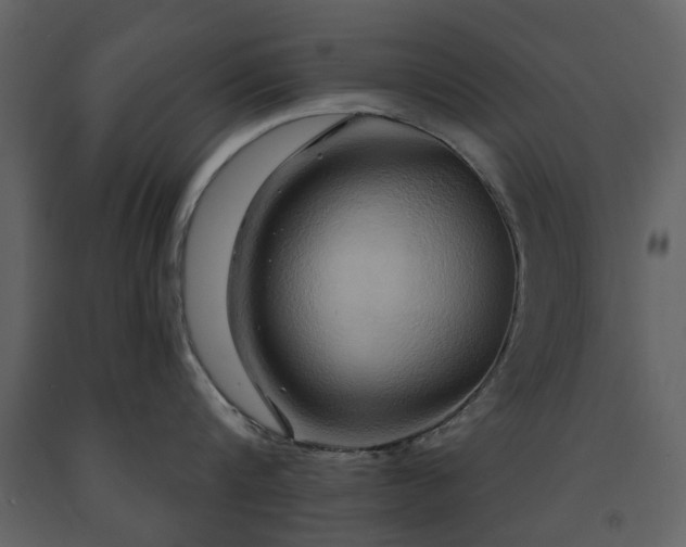 X0000091640816200708231157