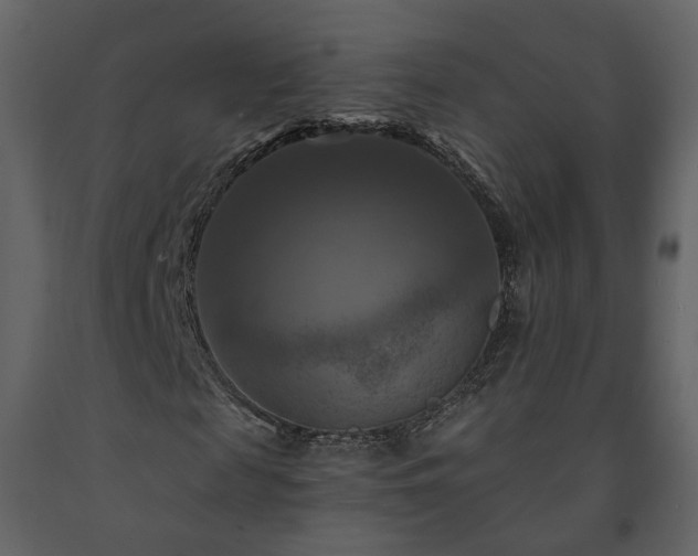 X0000091640817200708231156