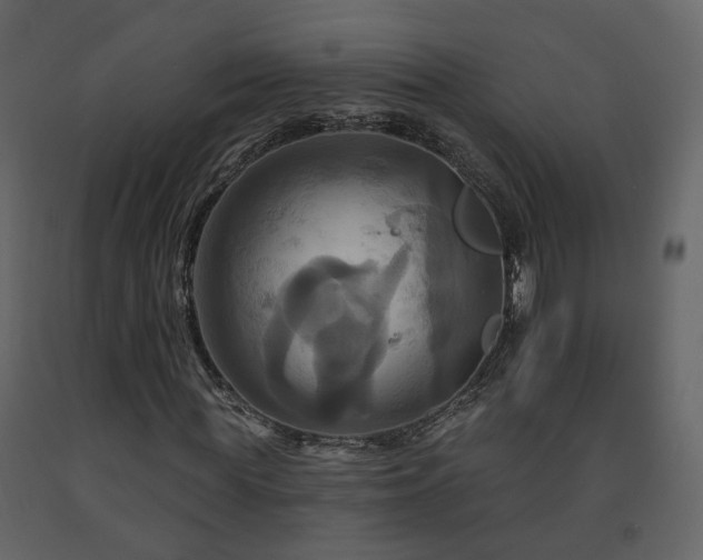 X0000091640819200708231156