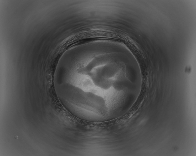 X0000091640821200708231156