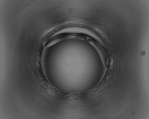 X0000091640822200708231156