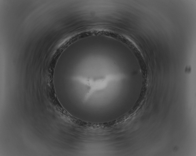 X0000091640823200708231156
