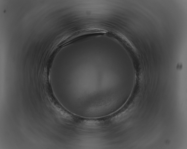 X0000091640825200708231156