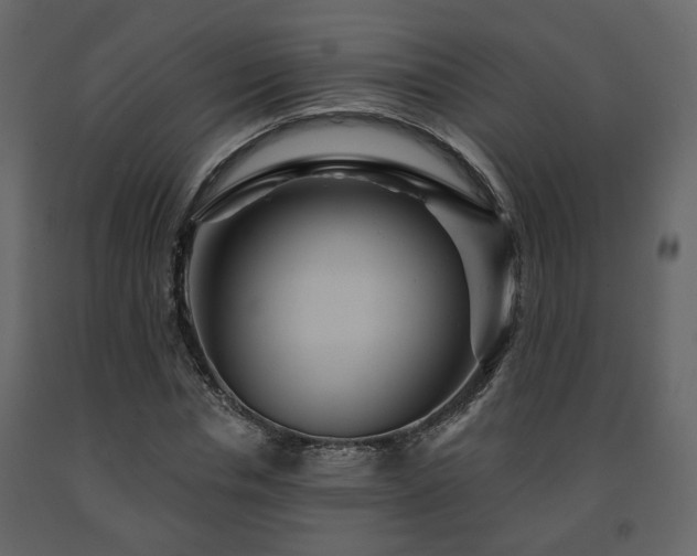 X0000091640826200708231156