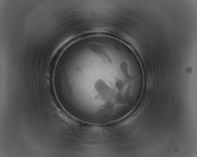 X0000091640827200708231156