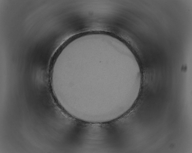 X0000091640828200708231156